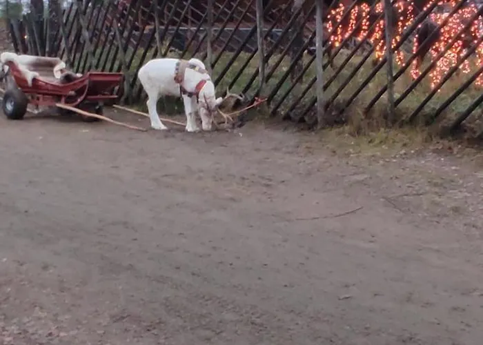 Santa's Little * ロヴァニエミ